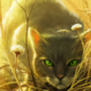 Meet your Posher, Valentine